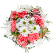 This bouquet is a masterclass in joyful composition, expertly balanced and brimming with springtime optimism-a true reflection of St Luke's charm. In the centre, pure white daisies with glowing green centres are offset by the lively coral-pink of ruffled carnations, their volume providing both substance and softness. Feathery gypsophila is scattered through the design, its delicate clusters reminiscent of the gentle ambiance found along Lizard Street on a sunny day. Hints of alstroemeria, tinted blush and royal purple, bring a touch of sophistication, while eucalyptus and dark green foliage wrap the bouquet in serenity and fragrance. The overall palette evokes freshness and possibility, making this arrangement ideal for milestones, heartfelt gifts, or spontaneous tokens of affection. Arranged with care by local florists, and available for prompt delivery throughout St Luke's, it's a bouquet that seems to smile-effortlessly transforming kitchens, desks, or living spaces into havens of celebration and calm.